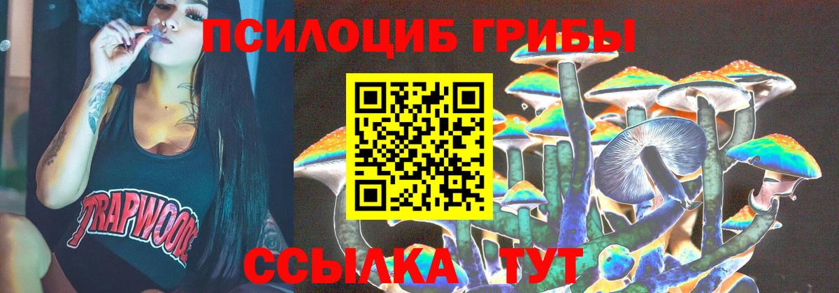 Северск  где найти   Галлюциногенные грибы Psilocybe  Вход с VPN  Галлюциногенные грибы мицелий 